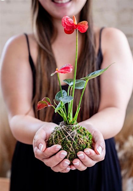 Kokedama Workshop with Live Long & Plant