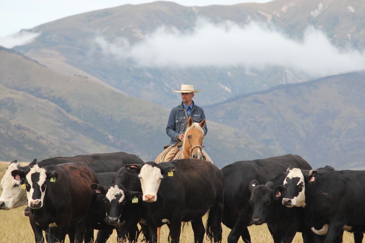 Christchurch, NZ: 3 Day Horsemanship Clinic