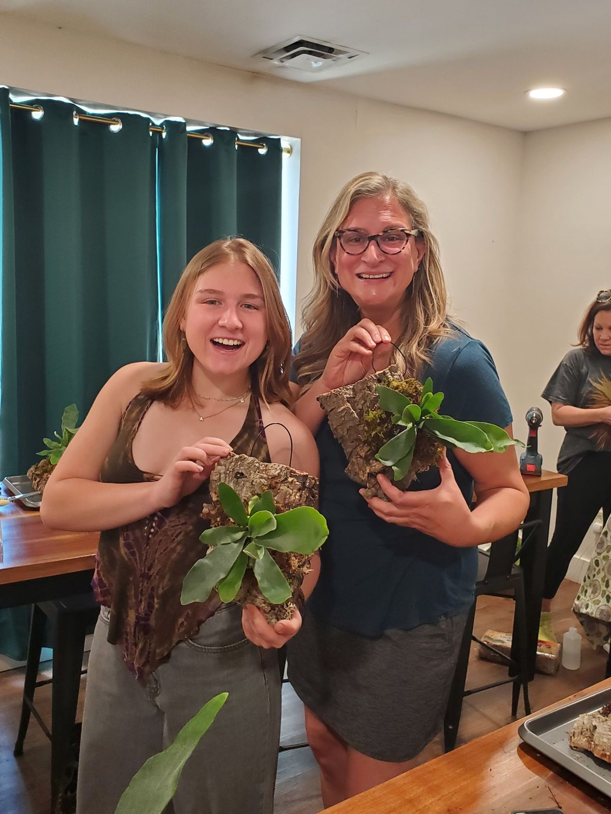 Staghorn Fern Mounting