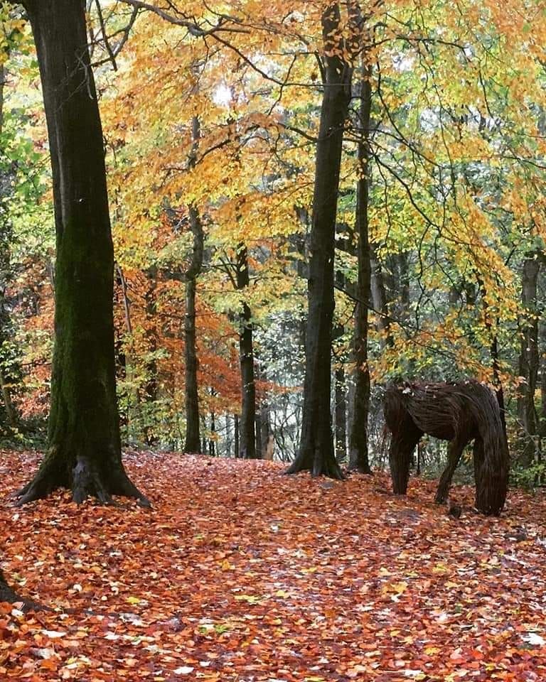 Beginner\u2019s Pastel Drawing \u2018Hare\u2019 Workshop at Elsworth at the Mill, Skipton BD23 1NL