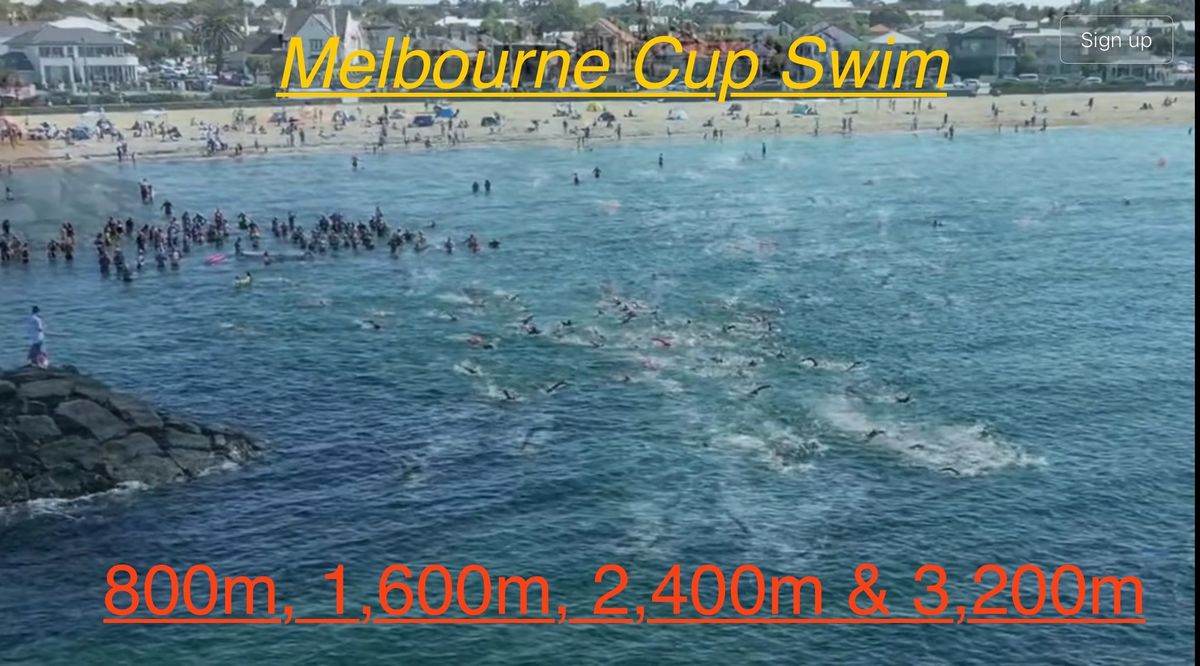 MOWSC Melbourne Cup Day Swim