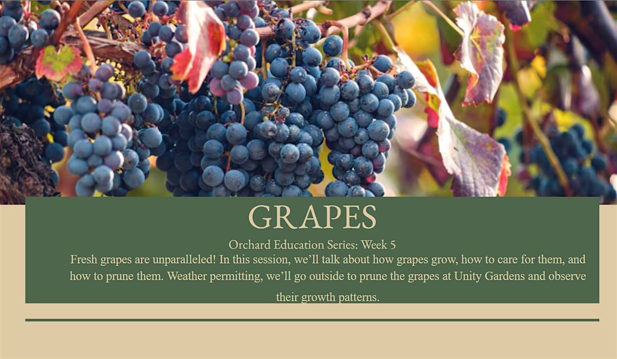 Grapes: Orchard Education Series