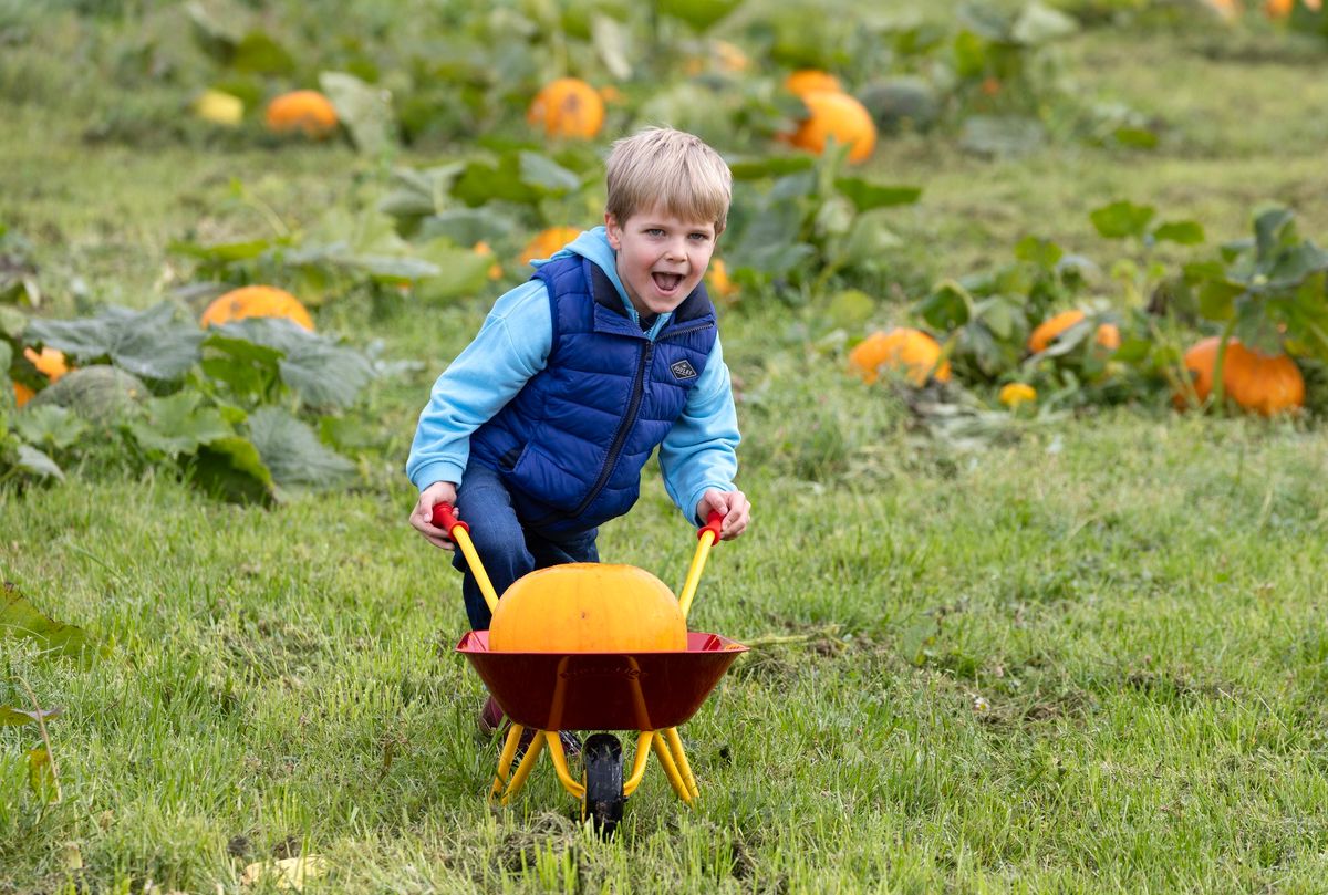 Halloween at Active Kids Adventure Park