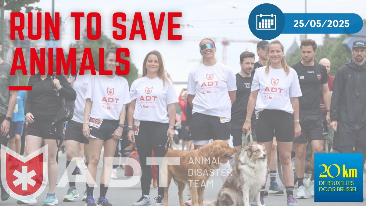 20 KM OF BRUSSELS - SUPPORT THE ANIMAL DISASTER TEAM ! \ud83c\udfc3\u200d\u2642\ufe0f\ud83d\udc3e\ud83c\udfc3\u200d\u2640\ufe0f