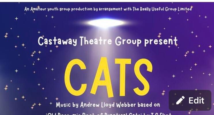 CATS The Musical performed by Castaway Theatre Group