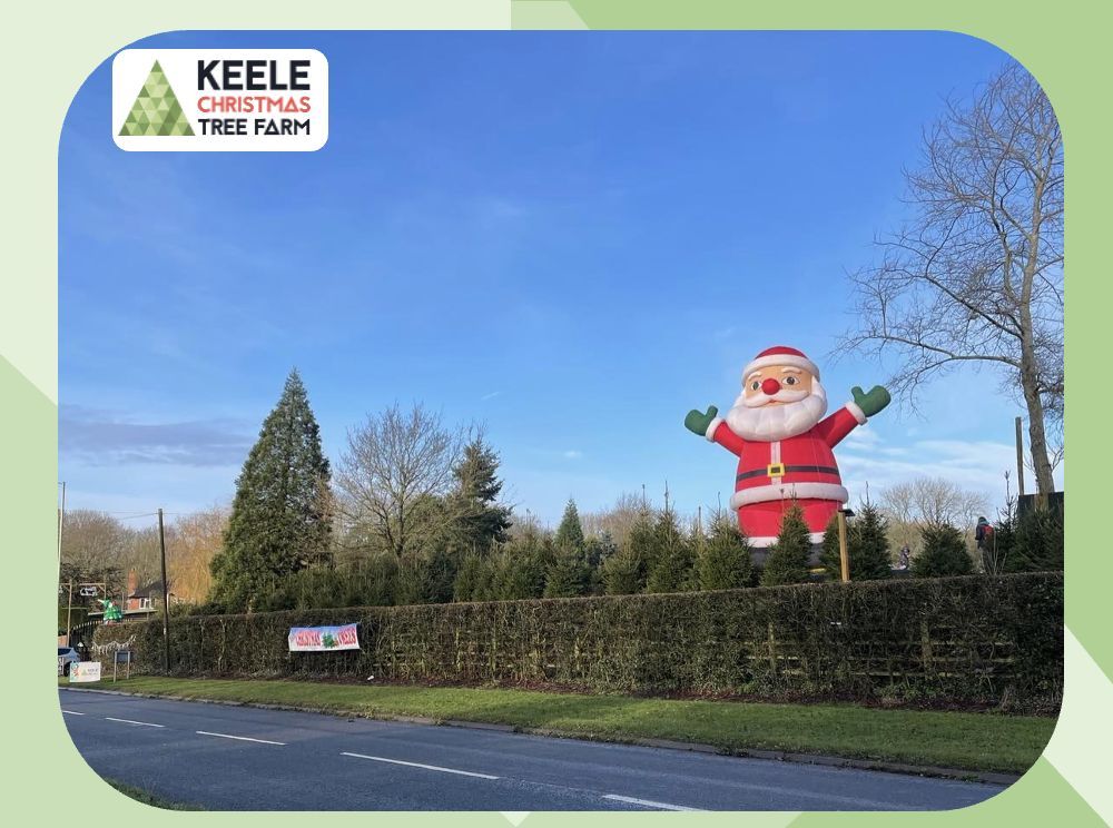 Keele Christmas Tree Farm Opening Day!