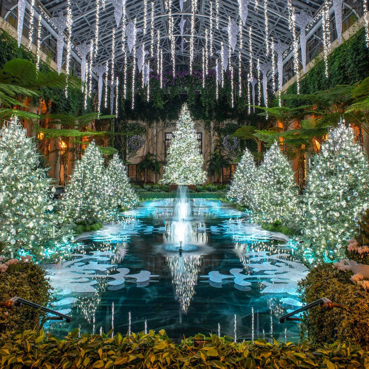 Bus trip to Longwood Gardens Holiday Lights Show