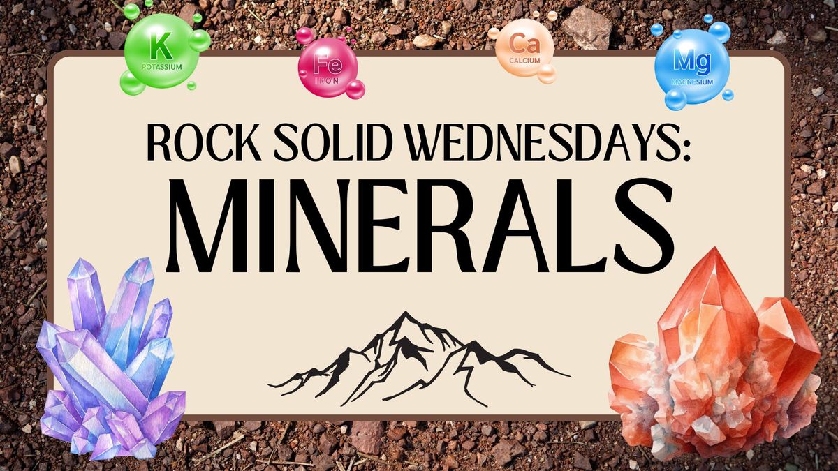 Rock Solid Wednesdays: MINERALS