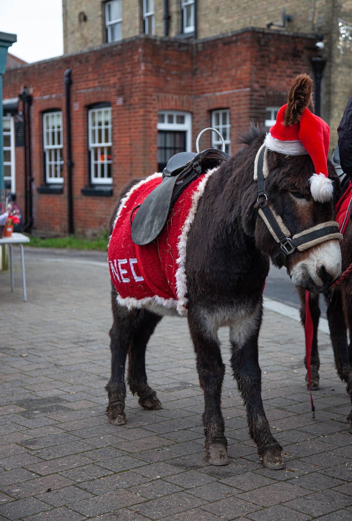 Fawley Yuletide Fayre