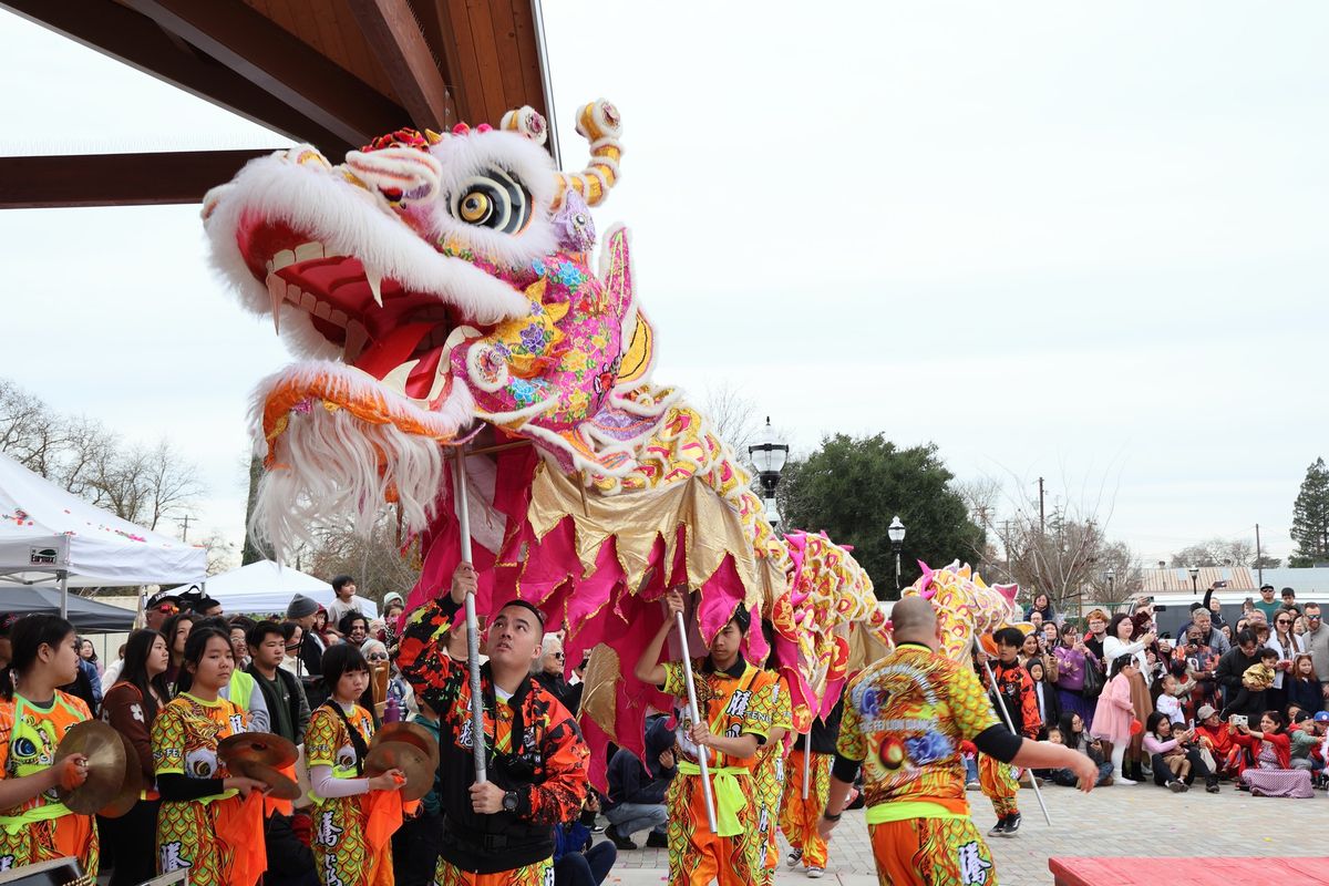 Lunar New Year Celebration