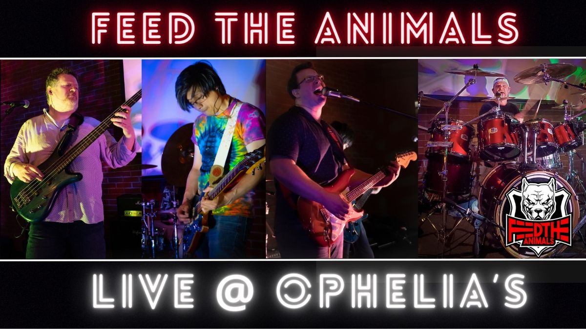 Feed the Animals at Ophelia's