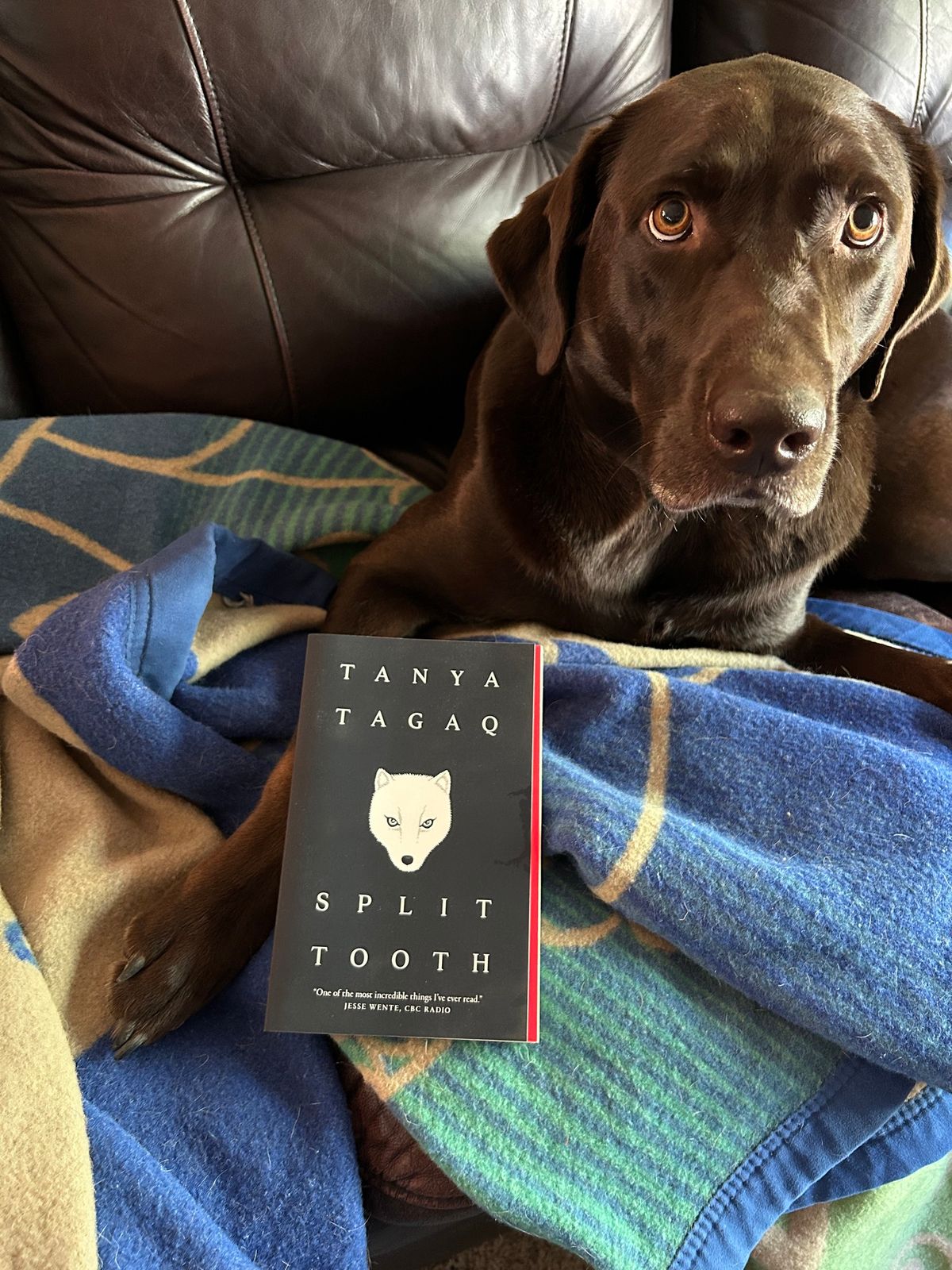 Book Club: Split Tooth by Tanya Tagaq 