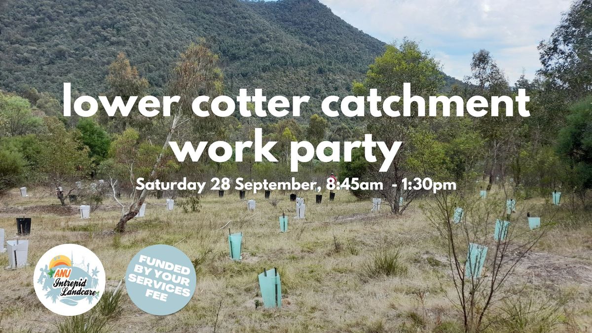 Lower Cotter Catchment Work Party!