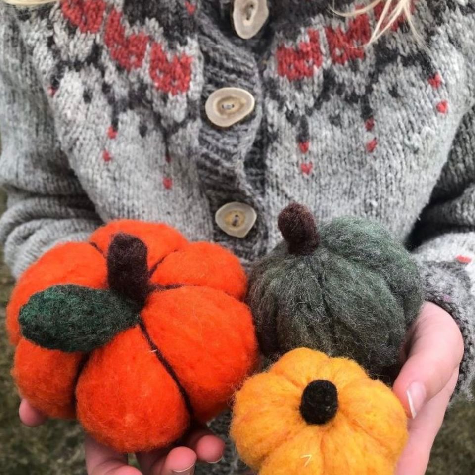 PUMPKIN FELTING WITH THE GENERAL BEAN, The Apothecary in