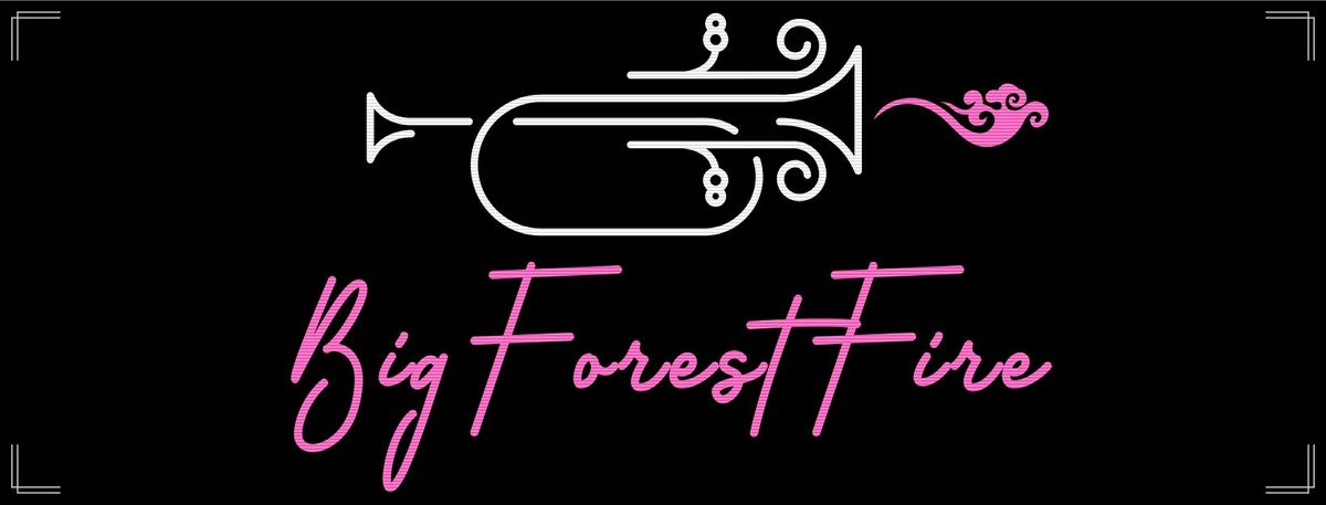 BigForestFire (band) at Froggie's