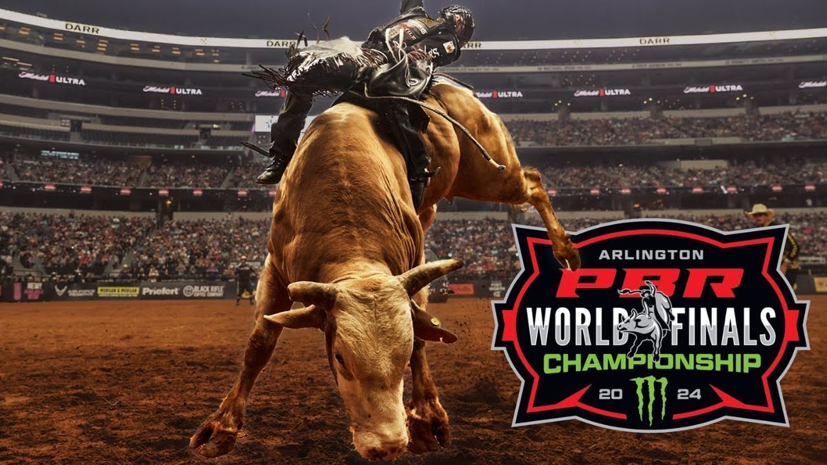 Bull Riding Championship Night