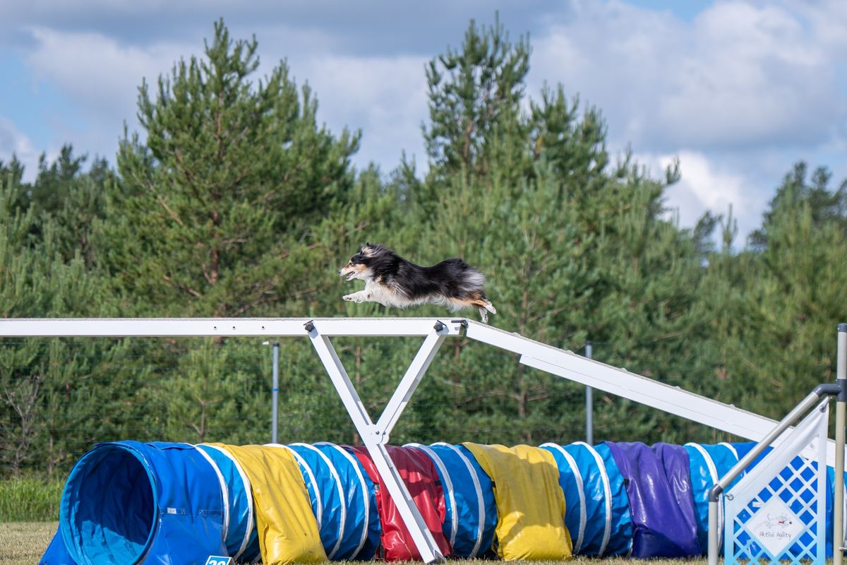 Sportkoer - terve ja tugevana