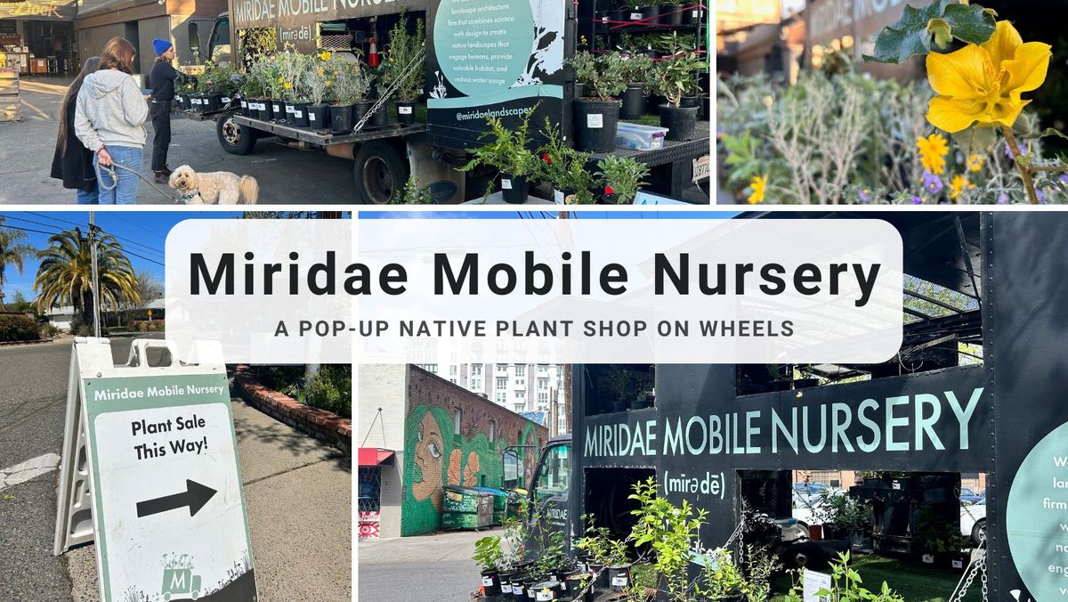 Mobile Nursery @ Nature Nerds!