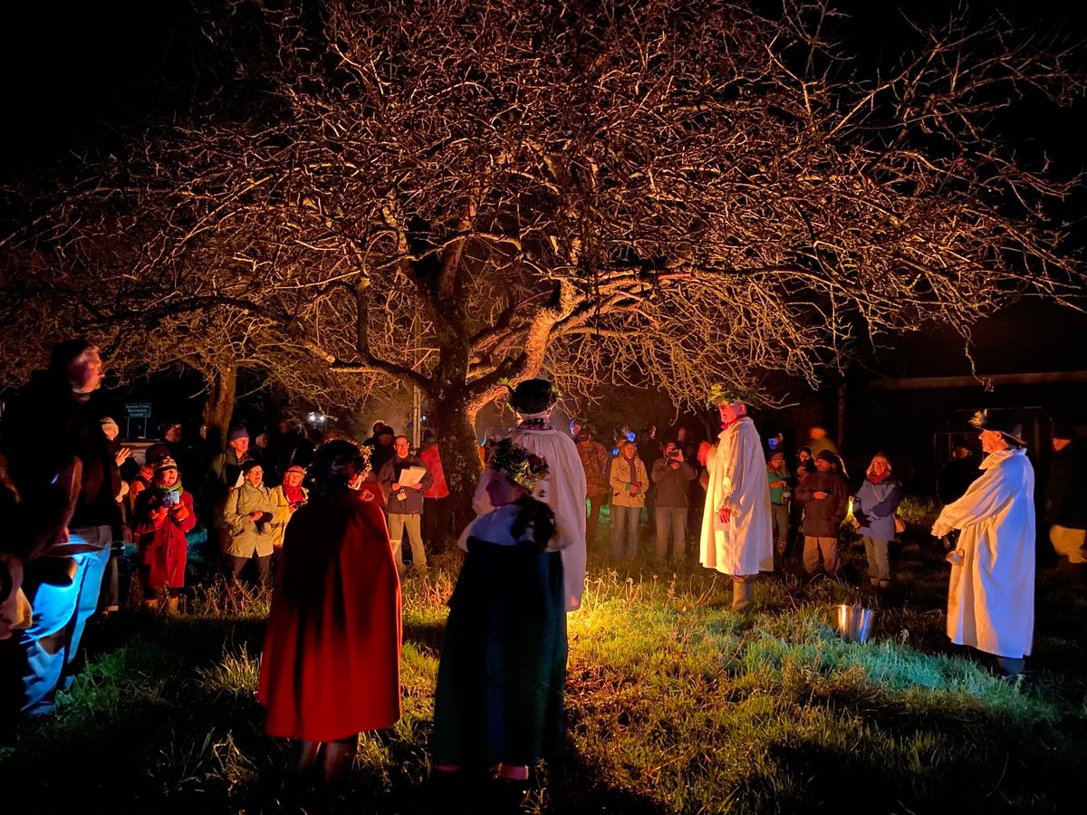 Whimple Wassail 2025