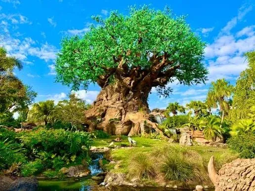 Animal Kingdom Saturday morning meetup!!