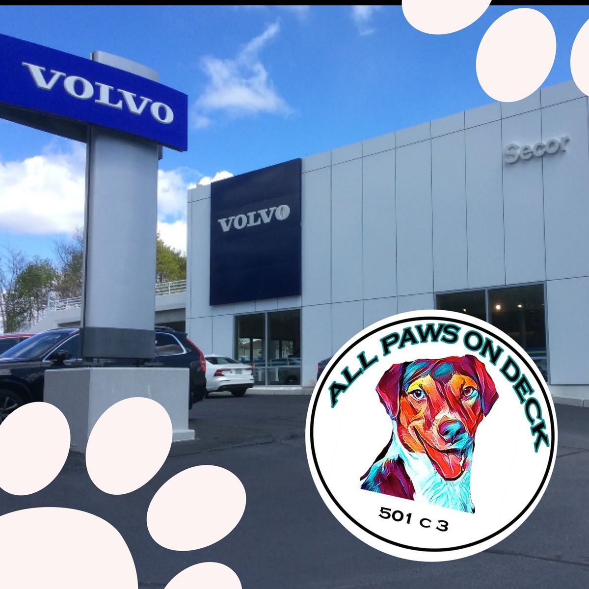 Adoption Event at Secor Volvo, New London 