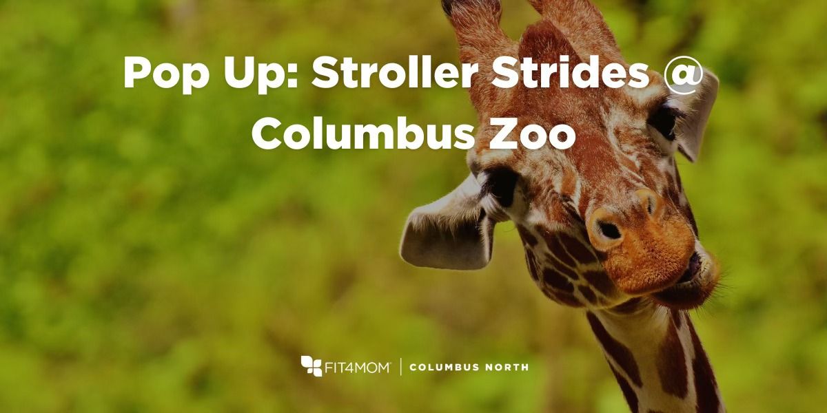 Pop Up: Stroller Strides @ Columbus Zoo