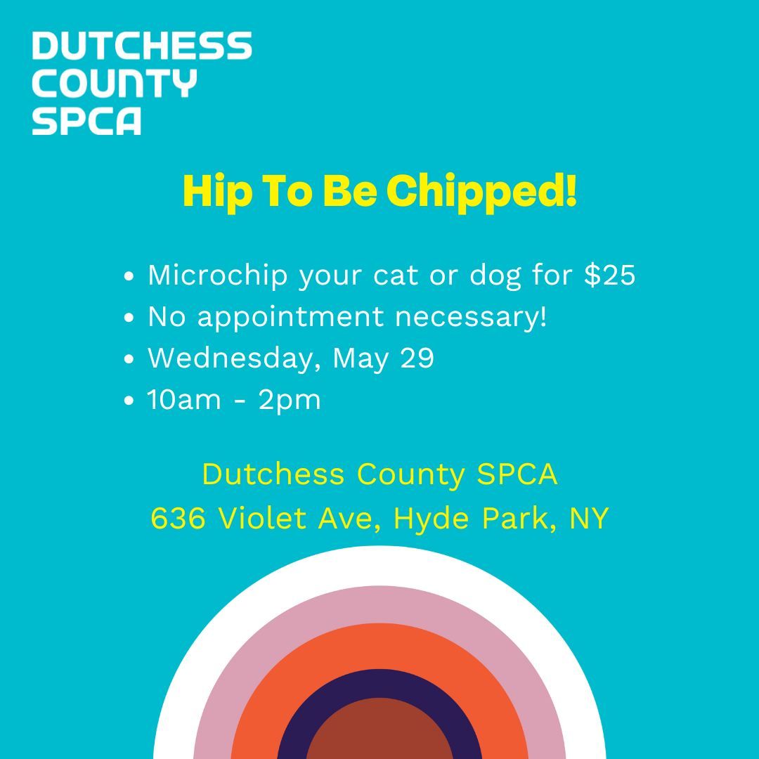 Hip To Be Chipped! Microchip your cat or dog for $25