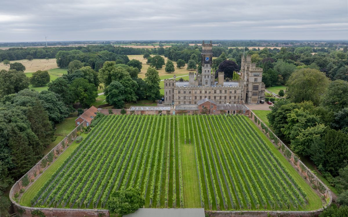 Vineyard Tour