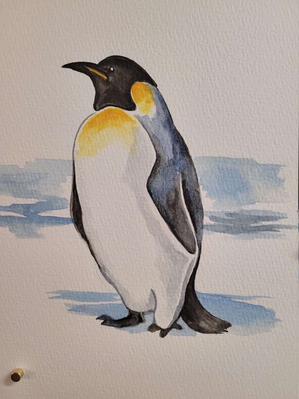 Watercolour Penguins with Stephanie Johnson 