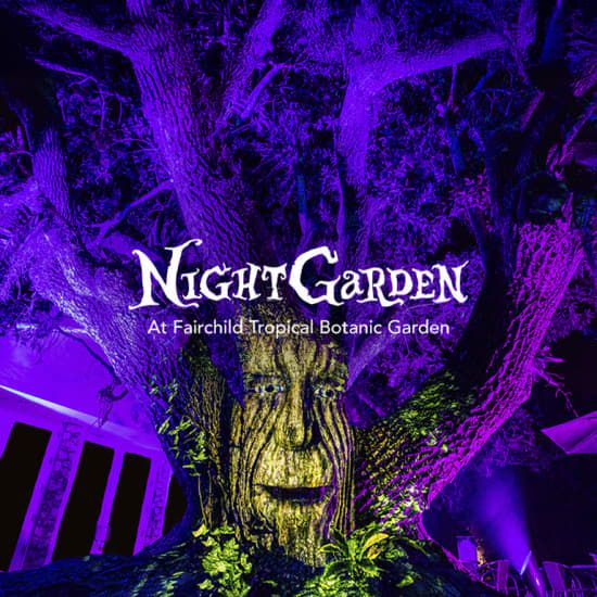 NightGarden - Miami - Members Only