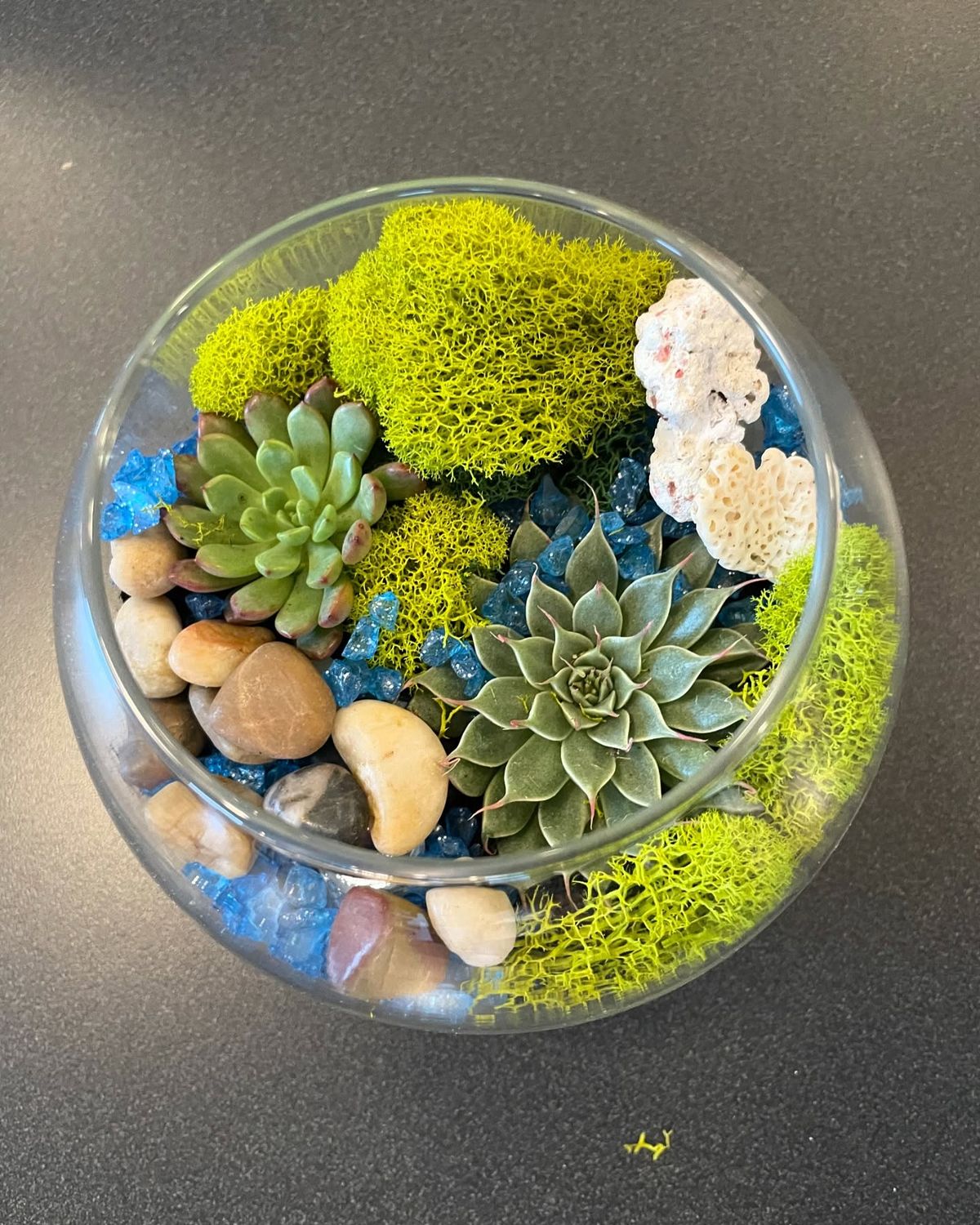 Mini Terrarium Workshop