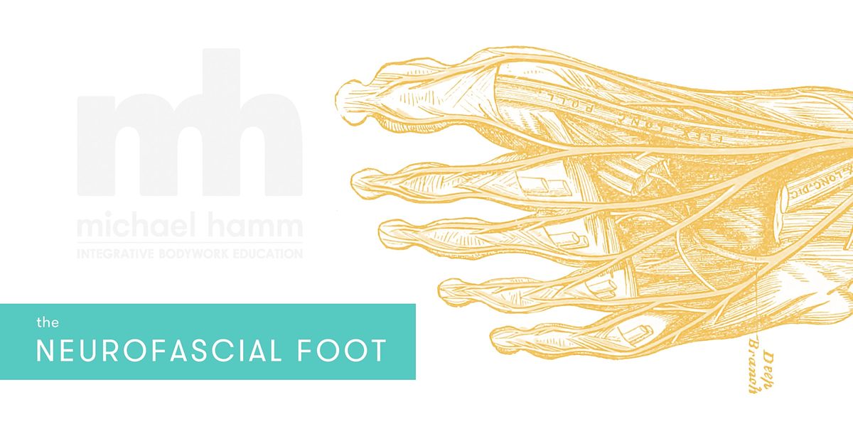 The Neurofascial Foot