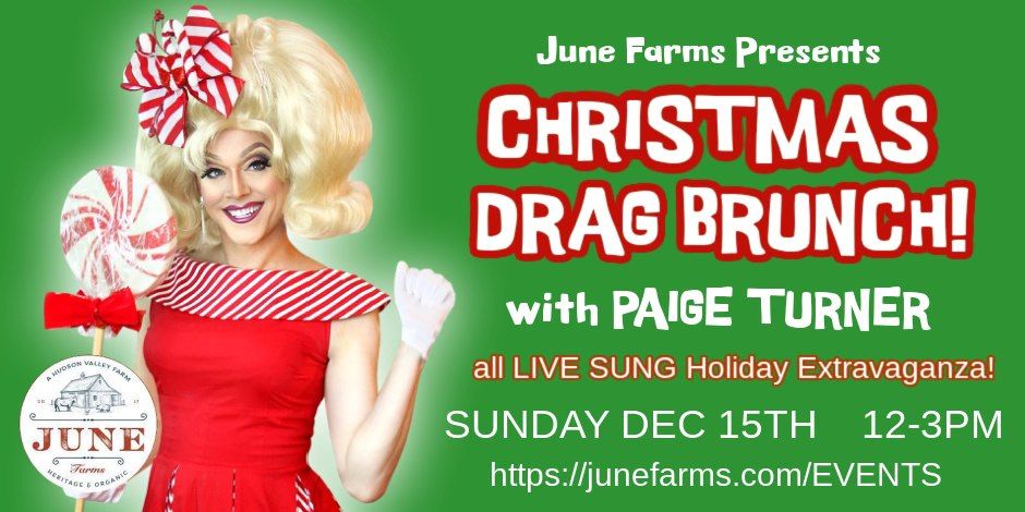 Christmas Drag Brunch with Paige Turner!