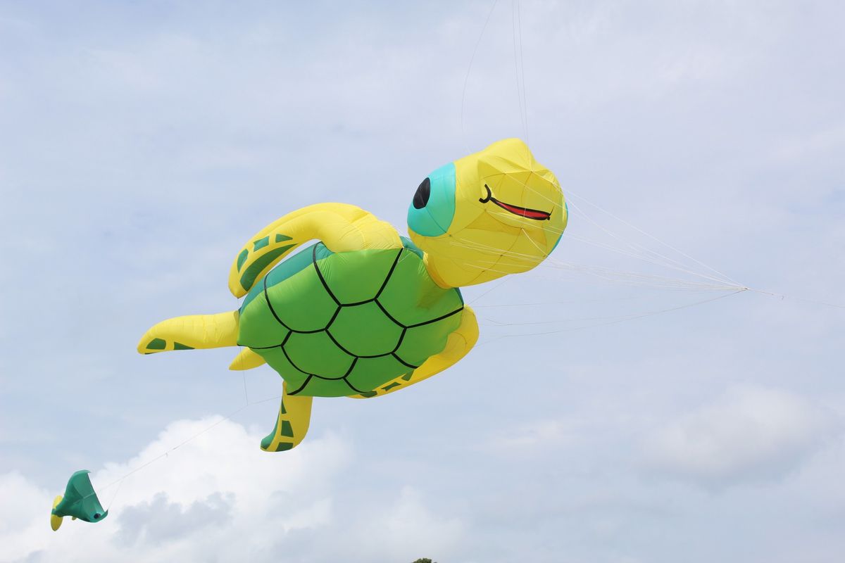 Outer Banks Fly into Spring