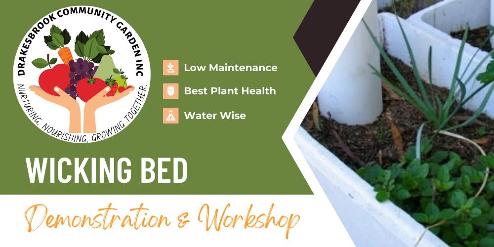 Wicking Bed Demonstration and Workshop