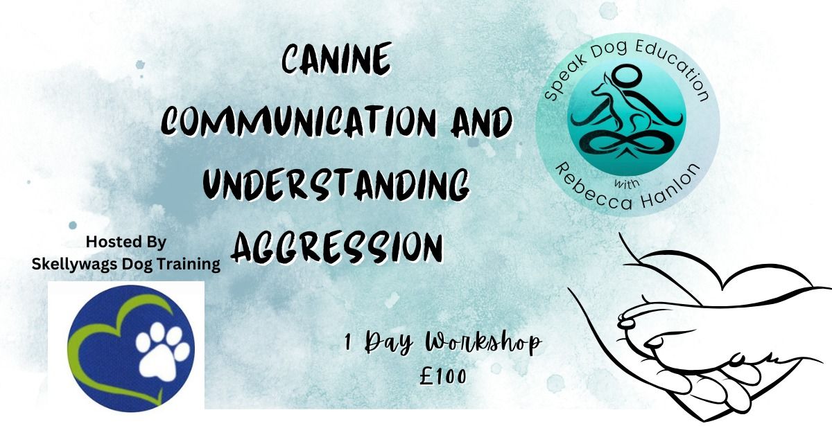 Understanding Dog Body language and canine aggression