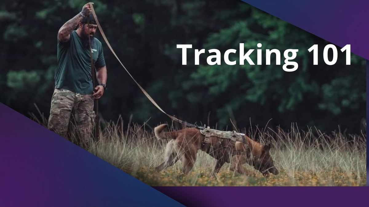 Intro To Tracking\/Trailing