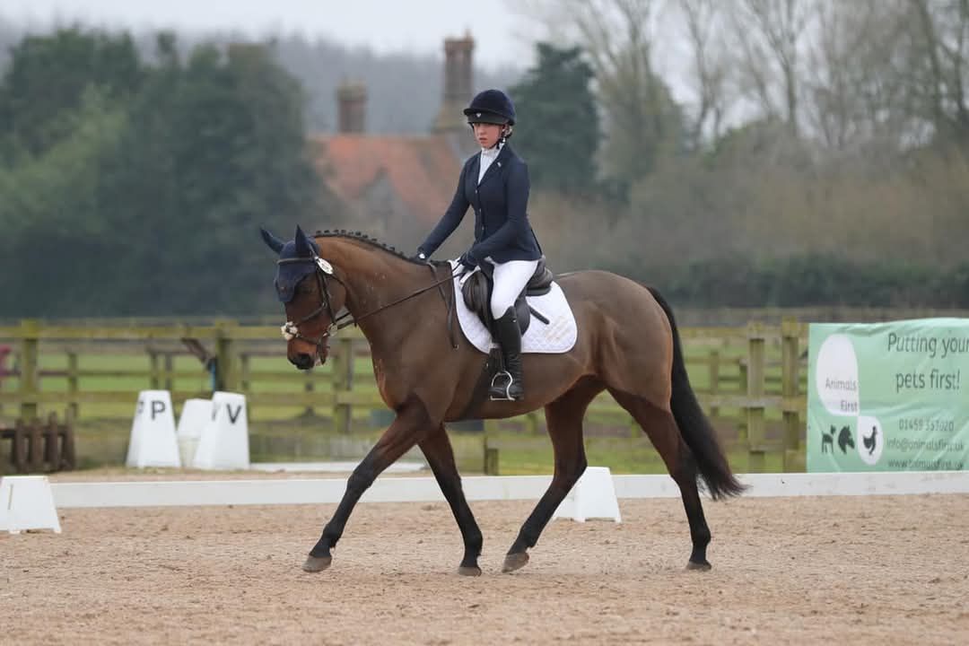 Unaffiliated Dressage, sponsored by Premier Performance 