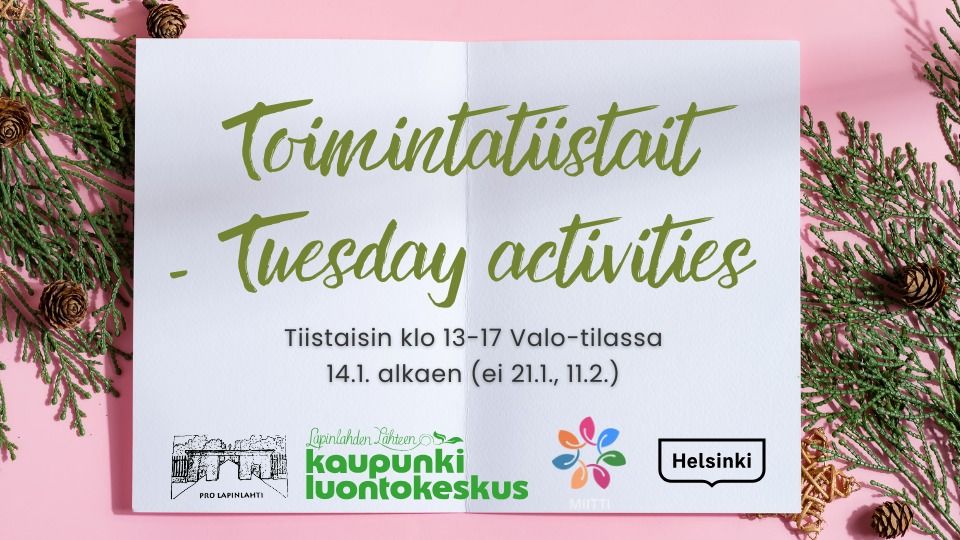 Toimintatiistait - Tuesday activities: Uuden vuoden unelmia