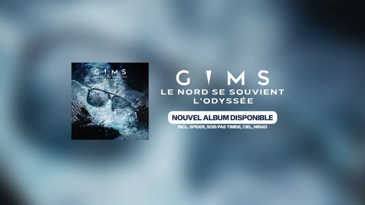 GIMS in Avignon