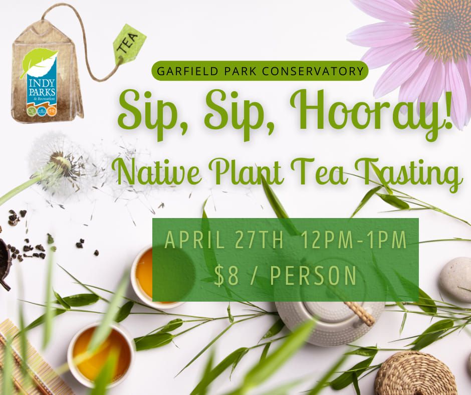sip, Sip, Hooray! Native Plant Tea Tasting