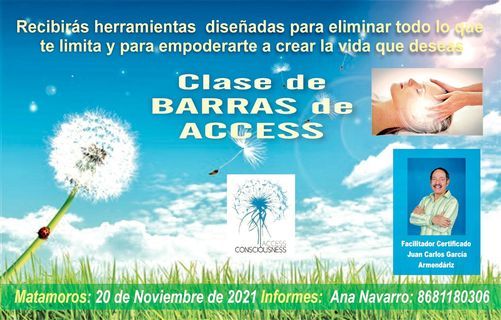 Curso de Barras de Access