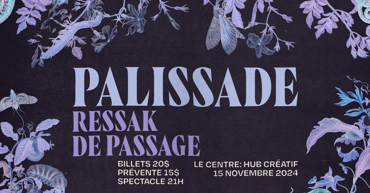 PALISSADE \/ RESSAK \/ DE PASSAGE @ Le Centre: Hub Cr\u00e9atif 