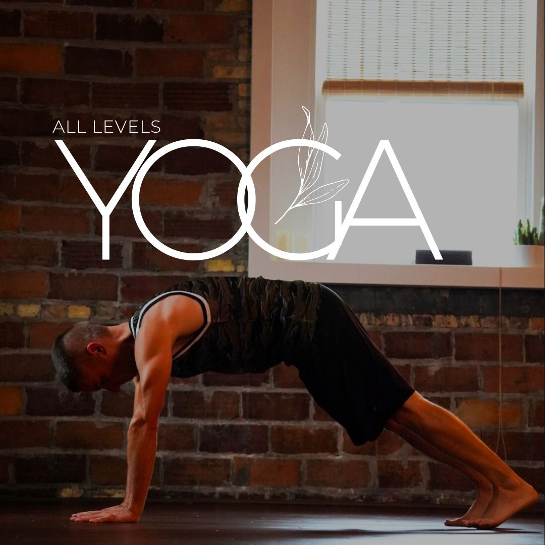 All Levels Yoga - Six Week Class