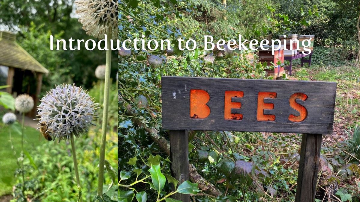 Introduction to Beekeeping