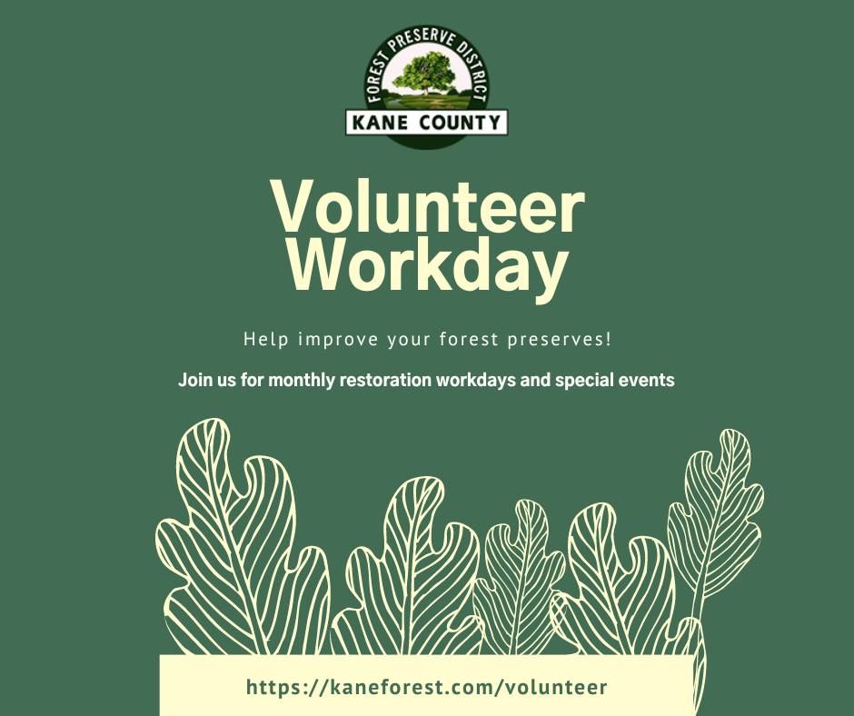 Volunteer Workday - Culver Forest Preserve