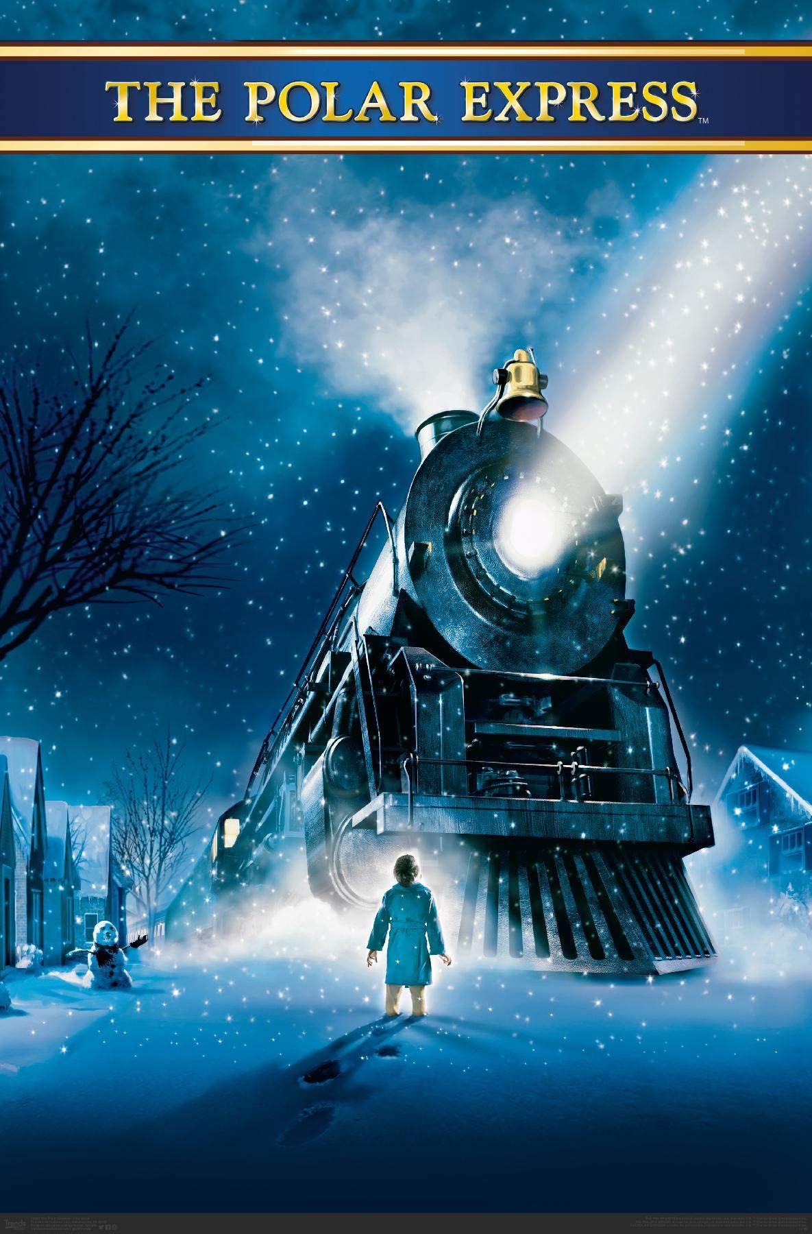 The Polar Express-the movie (2004) -Starring Tom Hanks 