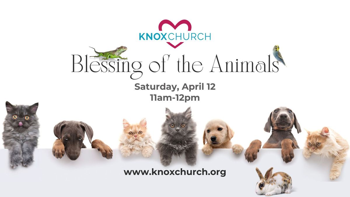 Blessing of the Animals