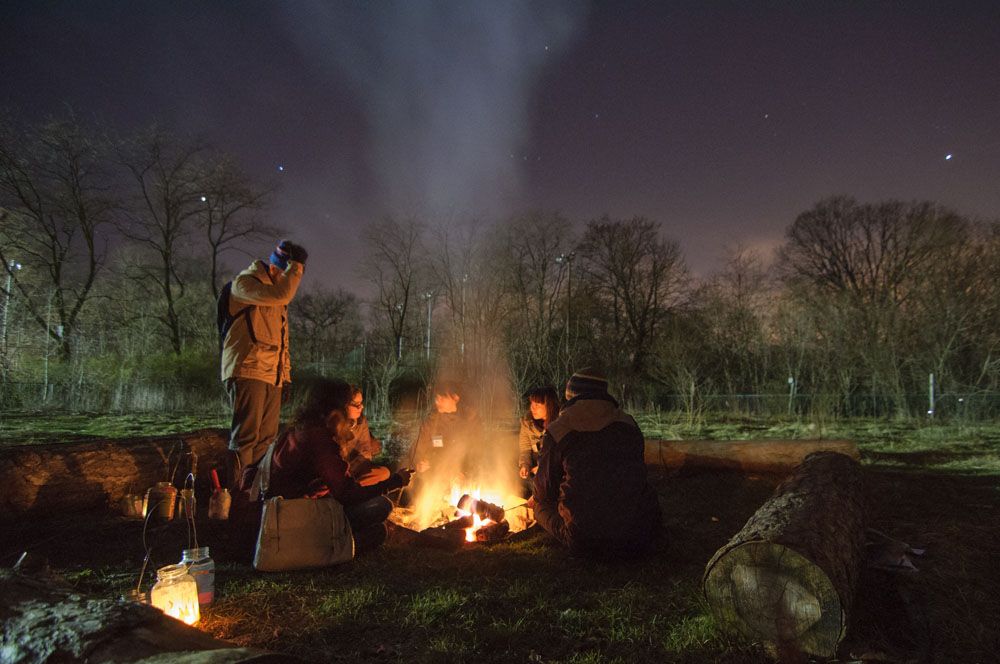  Light the Night: A Winter Solstice Celebration in High Park