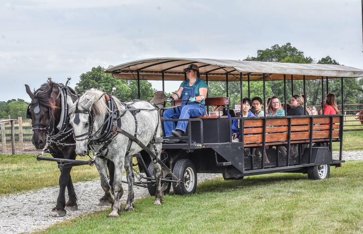 Grandparents Day: Apple Dumplings & Trolley Rides